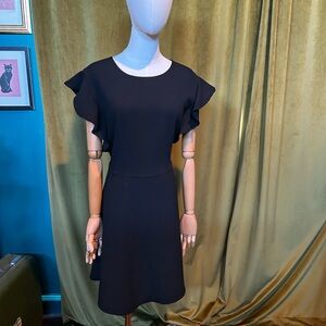Who What Wear Black Flutter Sleeve Mini Dress Knee Length Little Black Dress XL